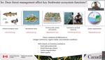 Do management practices affect key freshwater ecosystem functions in forested landscapes?